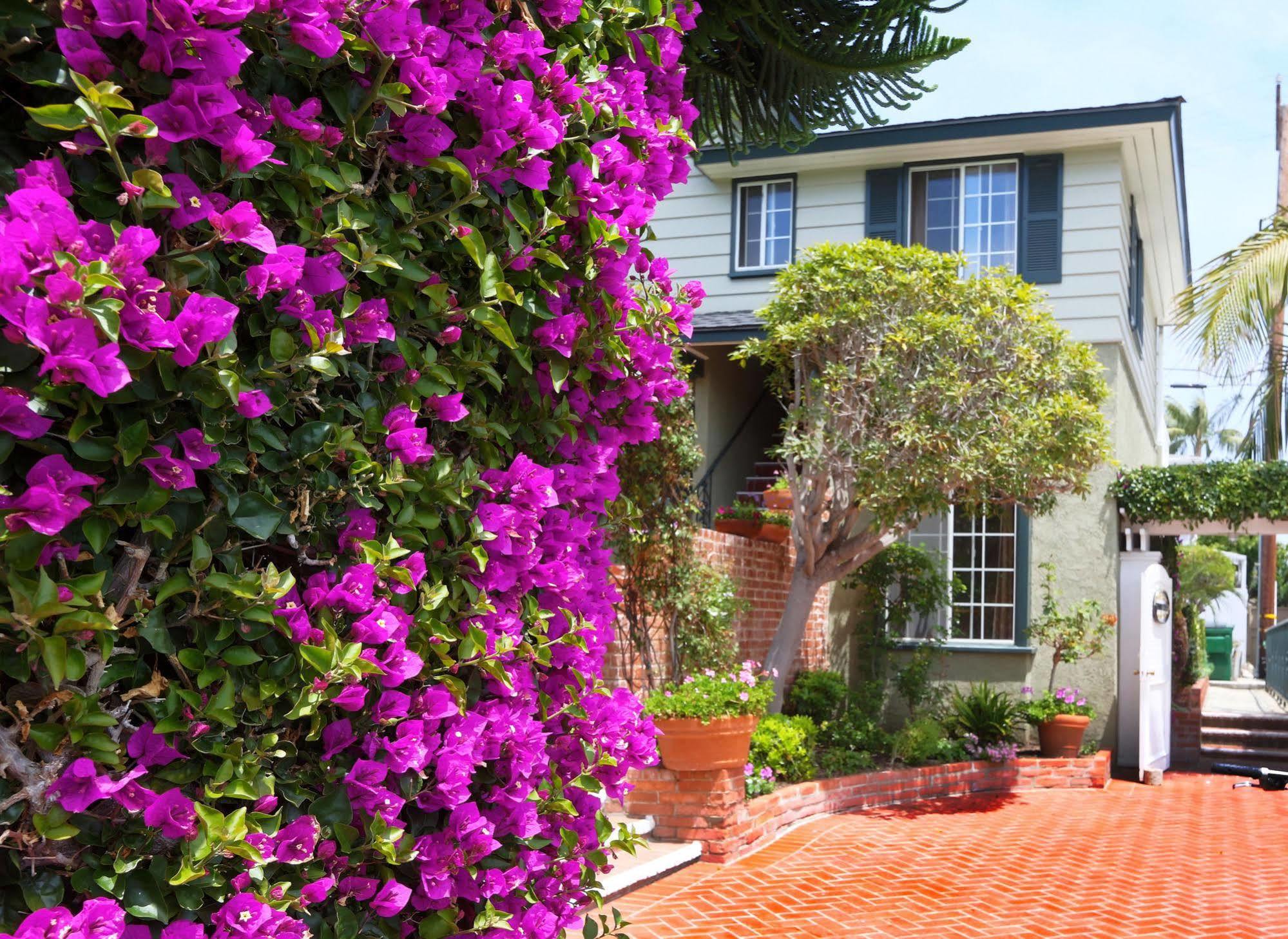 Hotel Joaquin (Adults Only) Laguna Beach Εξωτερικό φωτογραφία